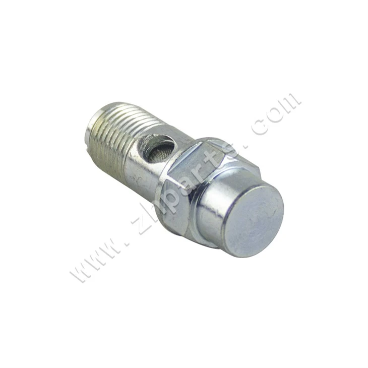 VE Injection Pump Inlet Screw 1463456303 For FORD CUMMINS factory